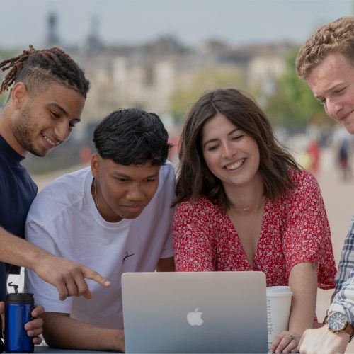 Bachelor INSEEC students applying online using a computer